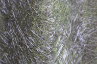 Little Burstead fibreglass roof work